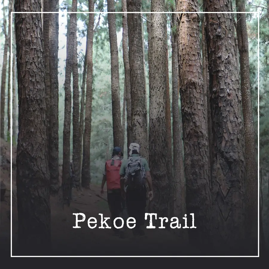Pekoe Trail Ceylon Silk Route