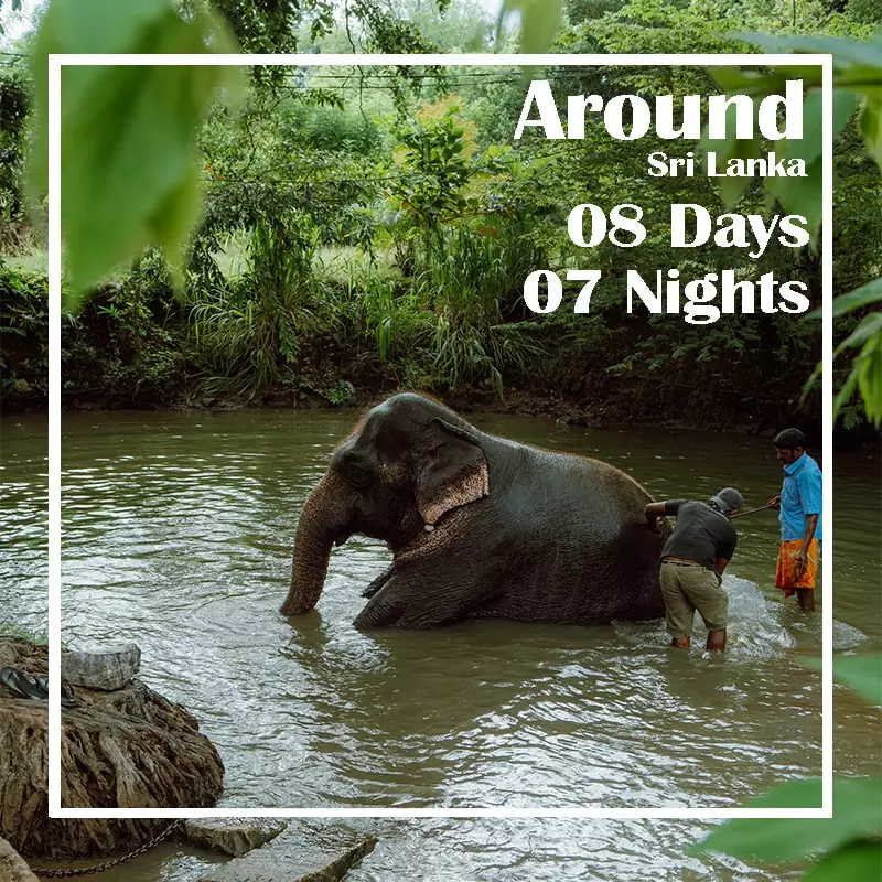 7 nights and 8 Days with ceylon silk route tours