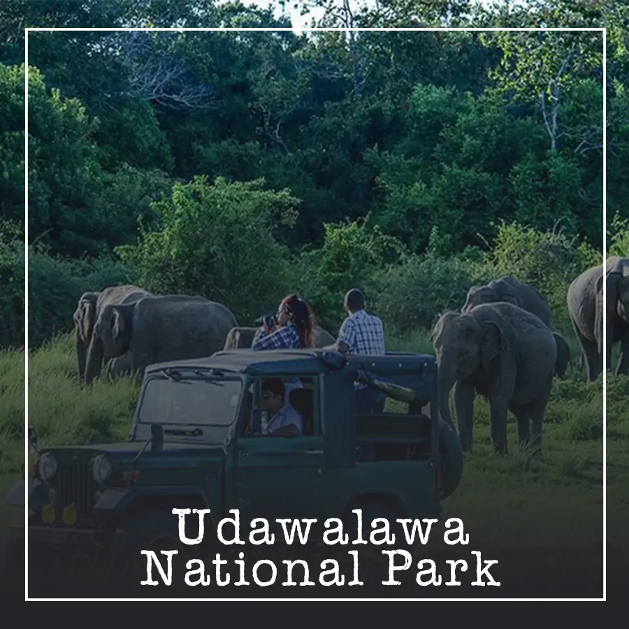 Udawalawa National Park Ceylon Silk Route