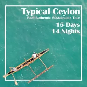 Typical Ceylon 15 Days 14 Nights tour in Sri Lanka
