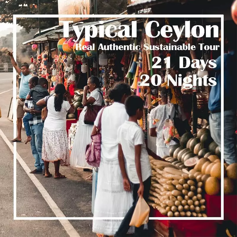 Typical Ceylon 21 Days 20 Nights tour in Sri Lanka
