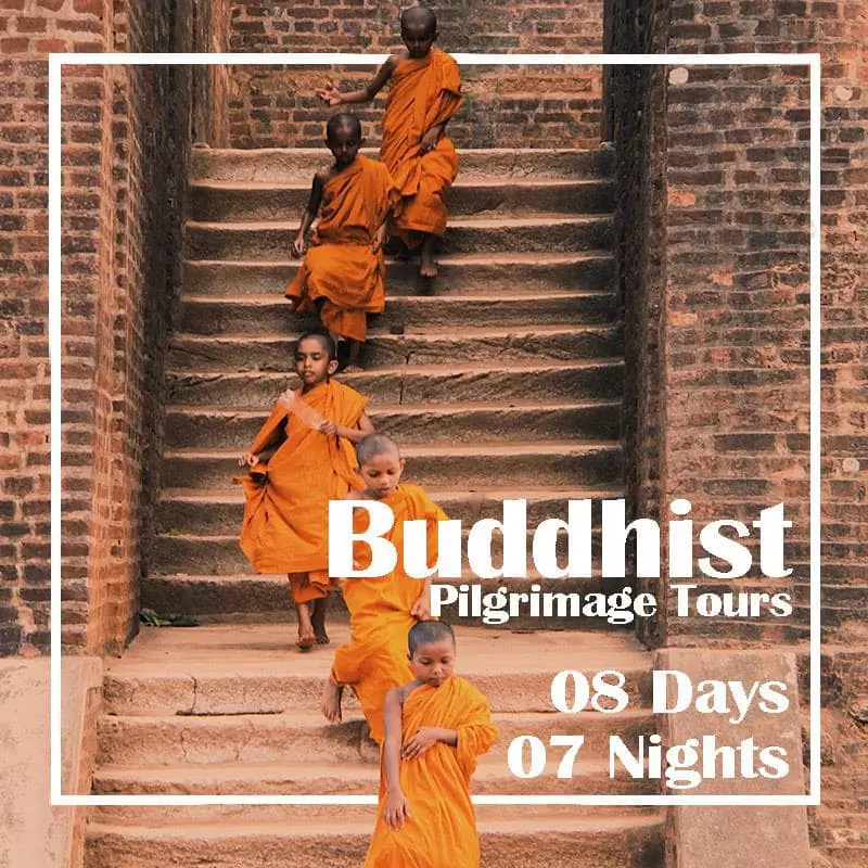 Buddhist Pilgrimage Tours 08 Days 07 Nights tour in Sri Lanka