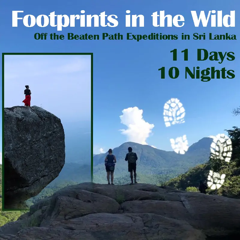 Footprints in the Wild Ceylon Silk Route