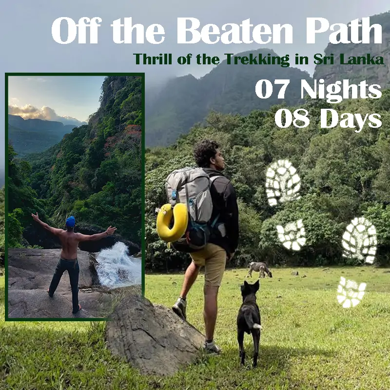 Off the Beaten Path Ceylon Silk Route