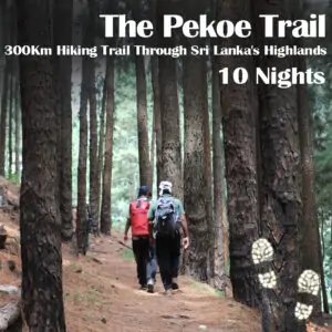 The Pekoe 10 days Ceylon Silk Route