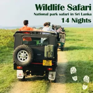 Wildlife Safari Ceylon Silk Route