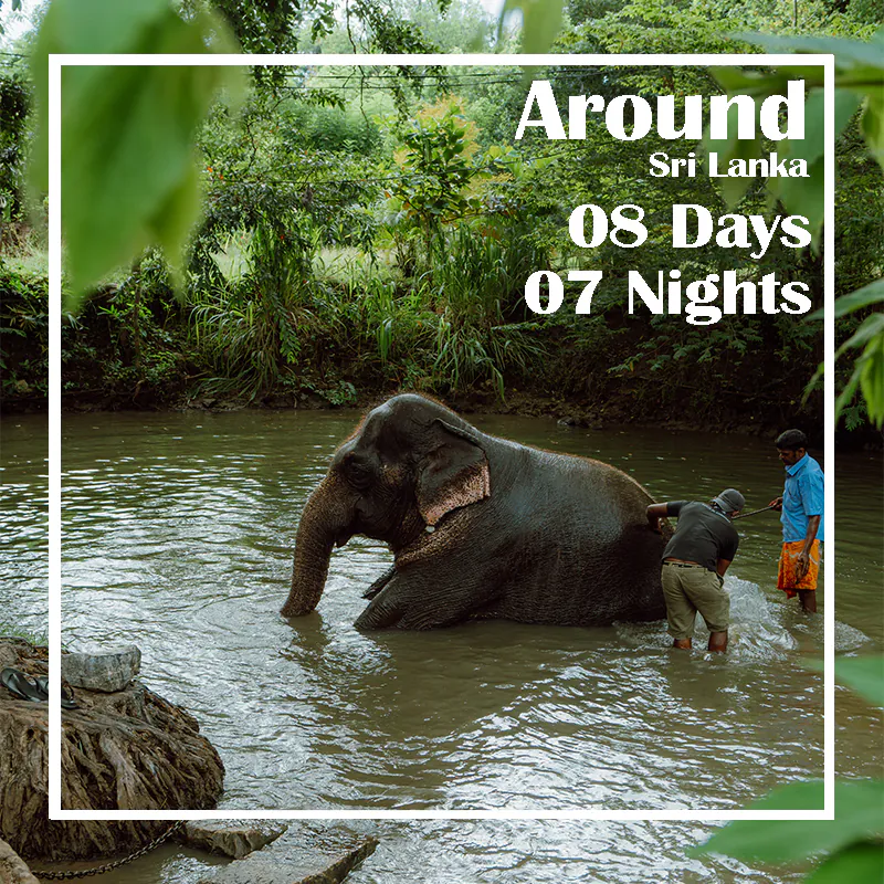 8days 7 Nights Ceylon Silk Route