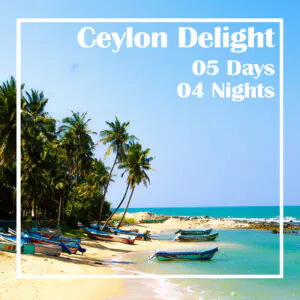 Ceylon Delight 4N 5D Ceylon Silk Route