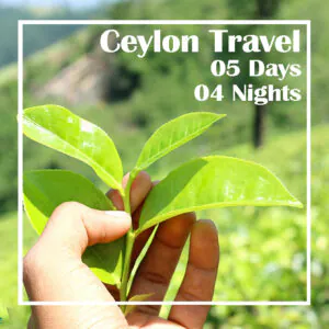 Ceylon Travel Ceylon Silk Route