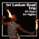 Sri Lankan Road Trip 4N5D Ceylon Silk Route