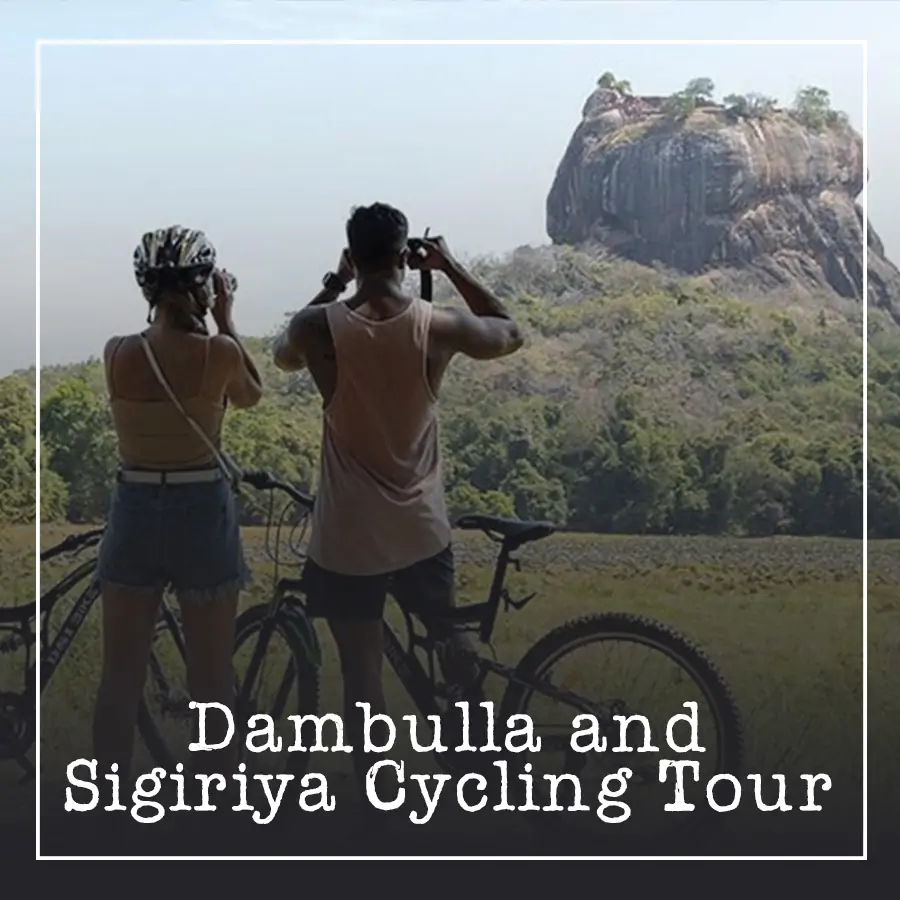 Dambulla and Sigiriya Cycling Tour Ceylon Silk Route