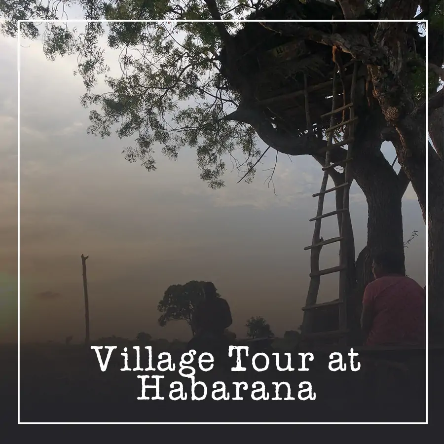 Village Tour at Habarana Ceylon Silk Route