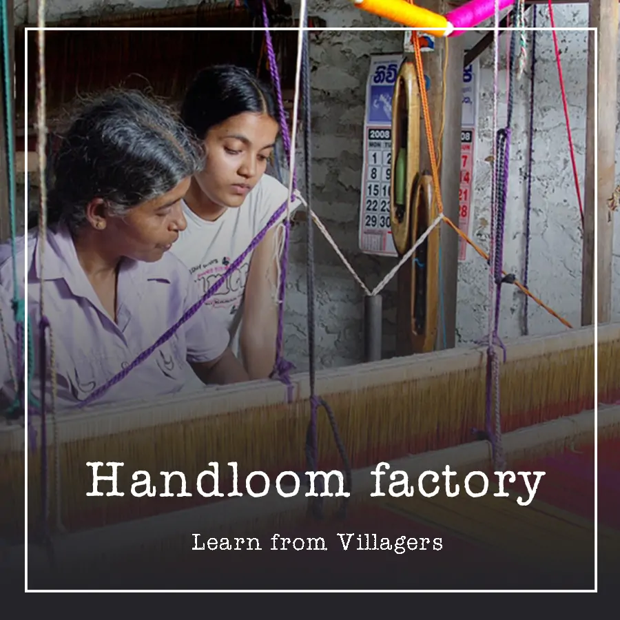 learn from villagers Handloom Ceylon Silk Route