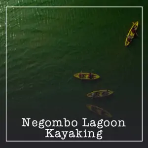 Negombo Lagoon Ceylon Silk Route