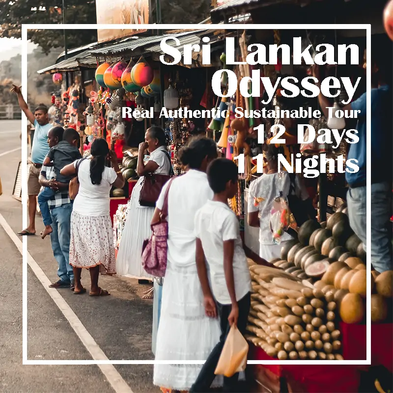 Sri Lankan Odyssey Ceylon Silk Route