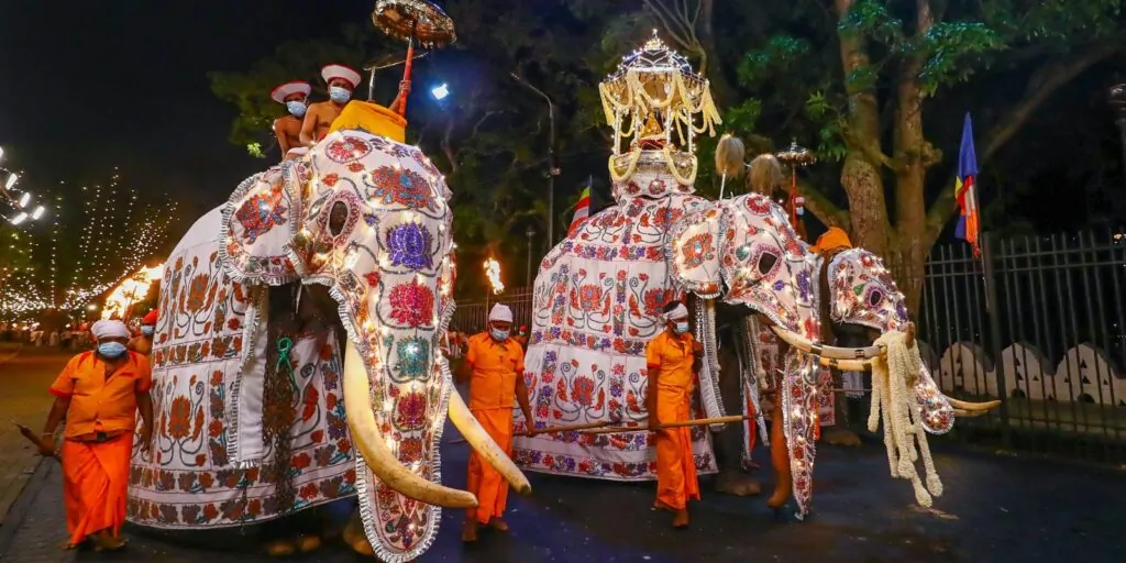kandy esala perahara Ceylon Silk Route