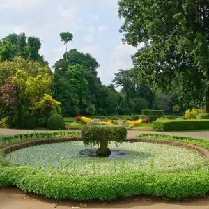 Botanical garden kandy