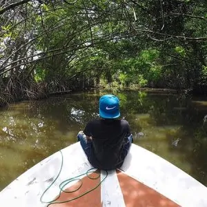 Madu river safari - sri lanka travel guide