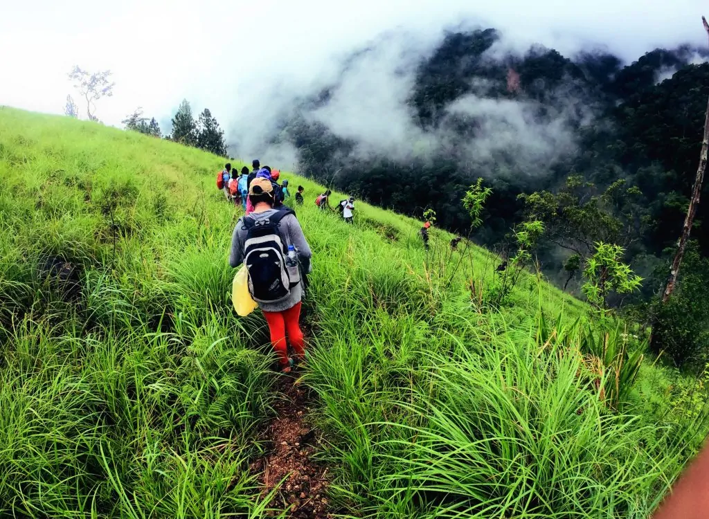 Ah, yes, the Devil's Staircase in Sri Lanka! It's definitely a challenging hike, but also one of the most rewarding, offering stunning views and a real sense of accomplishment. Here's what you need to know:Overview:The Devil's Staircase is a 14-kilometer trail that winds its way through the Sri Lankan hill country, connecting Kalupahana with Ohiya via Bambarakanda.It's known for its steepness, with hairpin turns and sections that feel almost vertical.The trail passes through lush tea estates, cloud forests, and waterfalls, offering breathtaking scenery along the way.Difficulty:The Devil's Staircase is considered a difficult hike, suitable only for experienced and fit hikers.The steep terrain, uneven footing, and lack of shade can be challenging in hot weather.It's important to be well-prepared with proper footwear, hydration, and sun protection.Things to see and do:The Bambarakanda Falls are a beautiful waterfall located along the trail, perfect for a refreshing break.The V-cut is a particularly dramatic section of the trail, where the road has been carved through a steep hillside.The views from the top are simply stunning, stretching across the rolling hills of the Sri Lankan countryside.Tips for hiking the Devil's Staircase:Start early in the morning to avoid the heat and crowds.Hire a local guide if you're not familiar with the trail.Wear sturdy hiking boots and bring plenty of water and snacks.Be prepared for rain, as the weather can change quickly in the mountains.Take your time and enjoy the scenery!Additional information:The best time to hike the Devil's Staircase is during the dry season, from December to April.There are a few homestays and guesthouses along the trail, but it's best to book your accommodation in advance.If you're not up for the full hike, you can also drive or bike a portion of the trail.I hope this gives you a good overview of the Devil's Staircase hike. If you have any other questions, please feel free to ask!